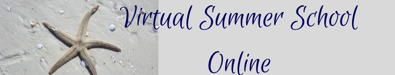 Virtual Summer School Online